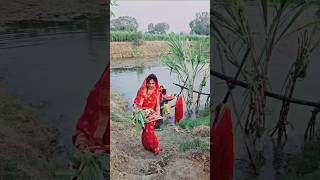 Chhath puja special🙏🏻shorts emotional bhakti chhathpuja hearttouching youtubeshorts [upl. by Bernelle]