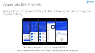 Creating Custom Controls with Xamarin Forms  Glenn Stephens  Xamarin University Lightning Lecture [upl. by Joby]