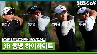 2023 KPGA 쫓고 쫓기는 치열한 무빙데이 👉50분 몰아보기 쌩쌩 하이라이트부산오픈 3R [upl. by Nashbar]