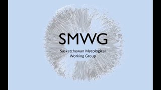 SMWG Poisonous Mushroom Webinar [upl. by Alva]