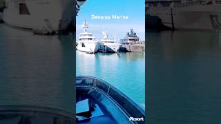 Denarau Marina Nadi fiji cruise travel viralvideo shorts viralvideo trending vacation [upl. by Elinore977]