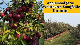 Applewood farm  WhitchurchStouffville Ontario Apple farm Apple farm nearby Scarborough Toronto [upl. by Cassondra]