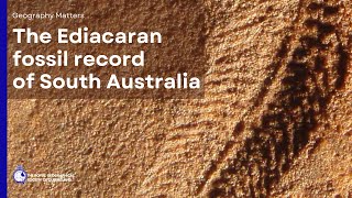 The significance of the Ediacaran fossil of South Australia for understanding animal life on Earth [upl. by Aroon538]