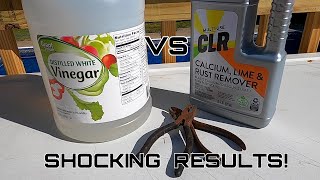 Rust Removal Vinegar VS CLR SHOCKING RESULTS [upl. by Gambrill578]