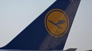 Lufthansa  Deutschland Deine Marken  HD  Doku  Portrait [upl. by Keryt]