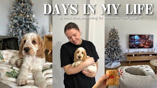 VLOG home sweet home 🏡 picking up our new puppy  tk maxx haul  decorating for Christmas 🎄 [upl. by Martsen]