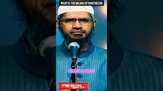 What Is The Means Of Pantheism drzakirnaik islam shorts [upl. by Xanthe]