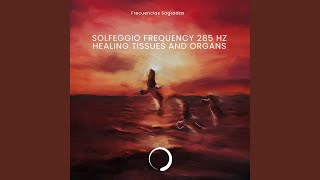 Solfeggio Frequency 285 Hz Healing Tissues and Organs [upl. by Jaynell]