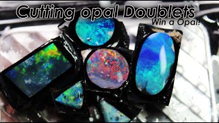 Cutting Amazing Black Opal Lightning Ridge Doublets she said she wanted one [upl. by Warde]