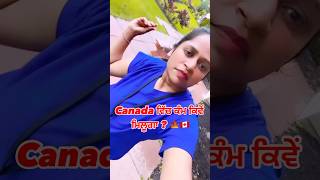 Canada ਵਿਚ ਕੰਮ ਕਿਵੇਂ ਮਿਲੂਗਾ 🍁🇨🇦। canadavisa facts touristvisa [upl. by Otho]