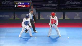 2013 WTF World Taekwondo Championships Final  Female 46kg [upl. by Euqinu]