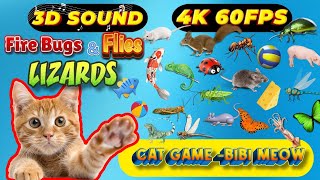 CAT GAMES  Ultimate Cat TV Compilation SPECIAL Vol 1 🦋11 HOURS 🐝Game for Cats to Watch🐞🦋🦎🦜🐜🐭🐝 [upl. by Glinys]