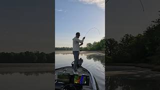 chickamauga bassfishing topwater buzzbait [upl. by Hadlee]