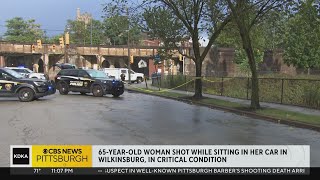 65yearold woman taken to hospital after Wilkinsburg shooting [upl. by Kalasky21]