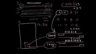 What is an amplicon See examples of the different applications [upl. by Stearn]