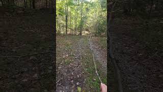 How to avoid spider webs while hiking [upl. by Fifi62]