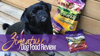 Zignature Dog Food Review What makes it so unique sponsored [upl. by Hardie]