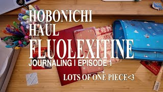 Hobonichi Haul 2025  One Piece Collab [upl. by Htebazileharas]