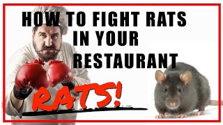 Restaurant Rat Extermination Floors Vendors Storage Traps Central FL [upl. by Eiralc772]