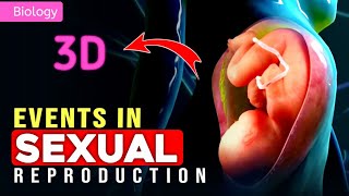 EVENTS IN SEXUAL REPRODUCTION  Plants amp Animals  3D ANIMATION  PWNEETWallah [upl. by Appilihp]