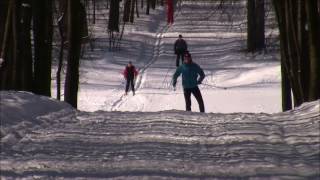 Nordic Skiing Technique [upl. by Sinai]