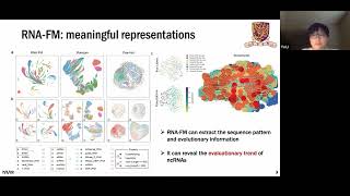 Interpretable RNA Foundation Model from Unannotated Data for  Yu Li  iRNA  Poster  ISMB 2022 [upl. by Martens]