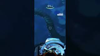 What Should YOU Do In Subnautica If Its Your First Time [upl. by Ilegna]