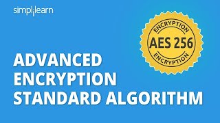 AES  Advanced Encryption Standard Algorithm In Cryptography  AES Explained  Simplilearn [upl. by Kokoruda7]