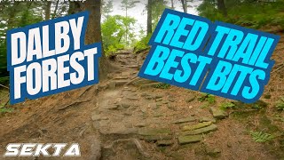 DALBY FOREST MTB💥Full Red Trail [upl. by Emmye]