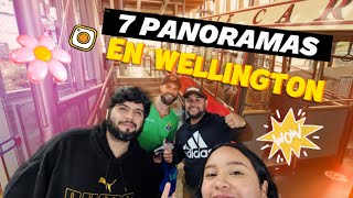 7 PANORAMAS EN WELLINGTON  Nueva Zelanda  Working Holiday 🫰🏻 [upl. by Zara]