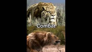 Smilodon vs American Lion smilodon americanlion [upl. by Tomlin]