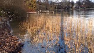 Tutzing am Starnberger See  Kustermann Park [upl. by Satsok]