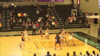 2020 GBB  Region 8 Semi Final Game  Trenton vs Parshall [upl. by Anelat]