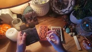 Next 7 Days Transition Big Offer N Decission collective asmr allsigns pickacard tarot [upl. by Etnahs753]