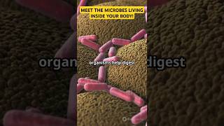 Microbes living inside you ✴️genious microbes shorts knowledge [upl. by Mulry]