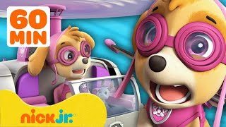 Skye de PAW Patrol vuela alto con Marshall y Chase  Compilación de 60 minutos  Nick Jr en Español [upl. by Thorpe]