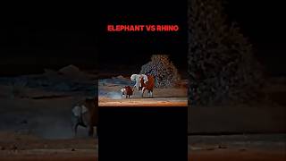 Elephant vs rhino trending animals wildlife elephant rhinoceros rhino shorts viralvideo [upl. by Ynot]