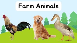 Farm Animals for Toddlers  Pets Animals  Animals For Kids  Flashcard And Charts [upl. by Ailb]