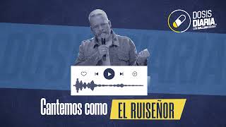 Dosis Diaria Roka  Cantemos como el ruiseñor [upl. by Ahsem]