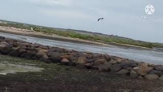 Altona beach melbourne australia [upl. by Della938]