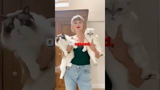 Katy Perry STEALS Taylor Swifts CAT 🤯🐈 [upl. by Ranitta975]