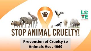 An overview of prevention of cruelty to animals act 1960  Environmental Law [upl. by Ardnajela725]