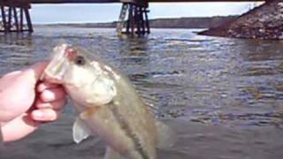 Winter Kayak Bass Fishing  Falls Lake NC [upl. by Nihhi669]