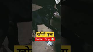 Sniffer Dog 🐶animal doglover dog viral trending snifferdogs [upl. by Cychosz]