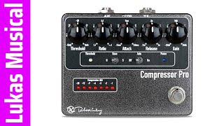 Best Stereo Compressor Pedal 2024  Top 5 [upl. by Goodwin]