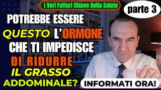 Come fare a ridurre il grasso addominale  nella PANCIA e nei FIANCHI PARTE 3 [upl. by Ahsiek]