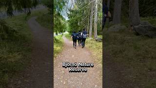 An unexpected meeting in the Björnö Nature Reserve  Björnö Reservatet  Ingarö Sweden 🇸🇪 [upl. by Mazman]