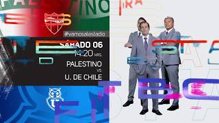 Campeonato Nacional  Palestino vs Ude Chile [upl. by Nicolais]