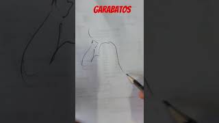 Garabatos drawing garabatos dibujo [upl. by Hamford]