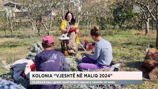 Kolonia “Vjeshtë në Maliq 2024” 15 piktorë nga i gjithë vendi hedhin ngjyrat e vjeshtës në telajo [upl. by Kory]